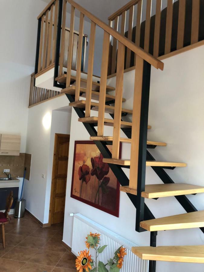 S'Schnoganeschd Villa Nemesvid Bagian luar foto