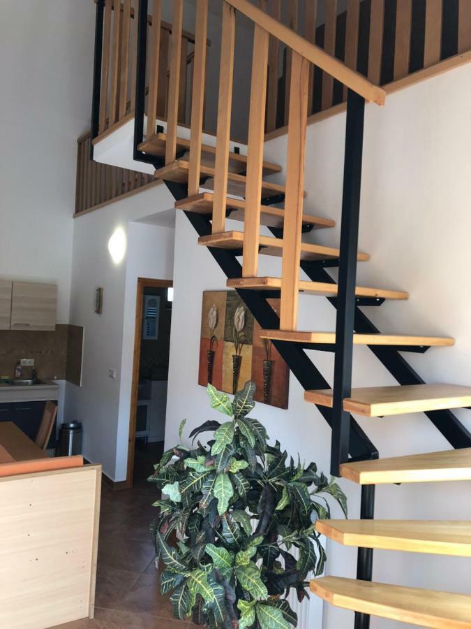 S'Schnoganeschd Villa Nemesvid Bagian luar foto