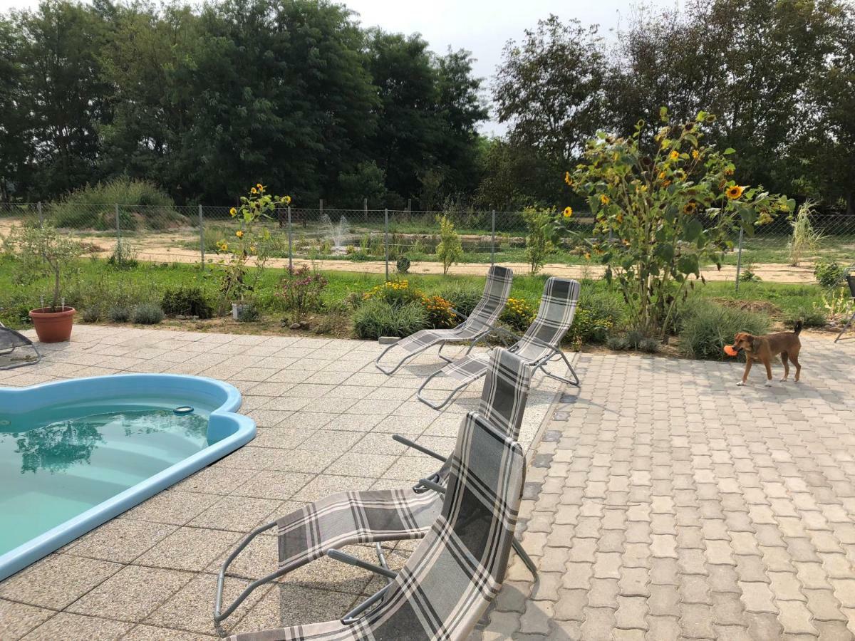 S'Schnoganeschd Villa Nemesvid Bagian luar foto